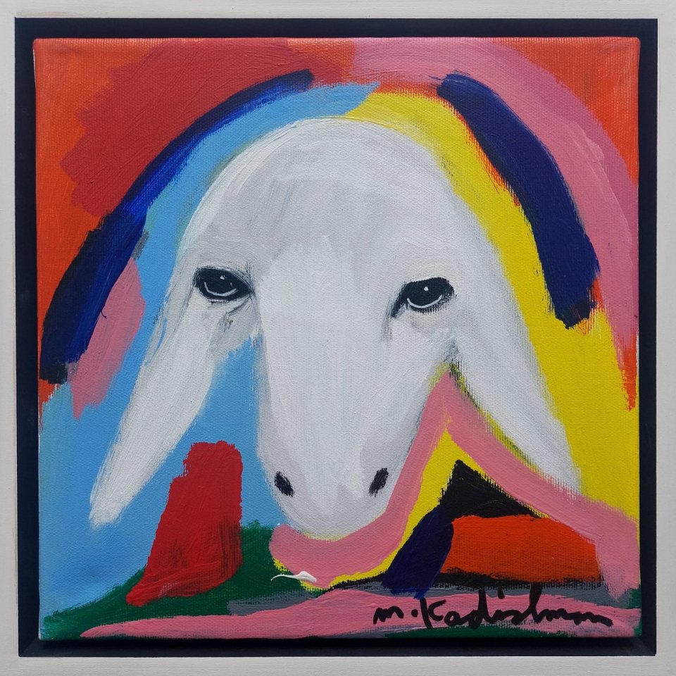 ראש כבש לבן על רקע צבעוני ופס תכלת